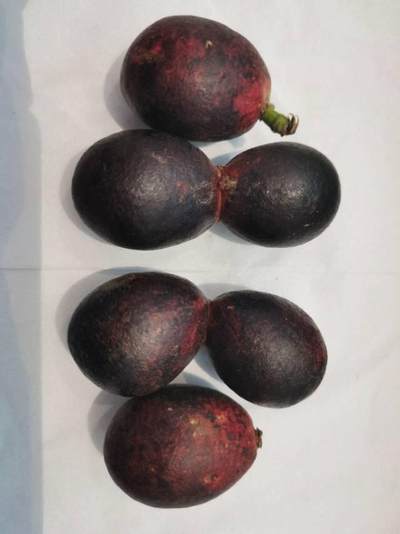 话说倒一版法国法郎200面额是不是有两版，第一版是两个人，印刷完成没有投放销毁了（被扒出发表过不当言