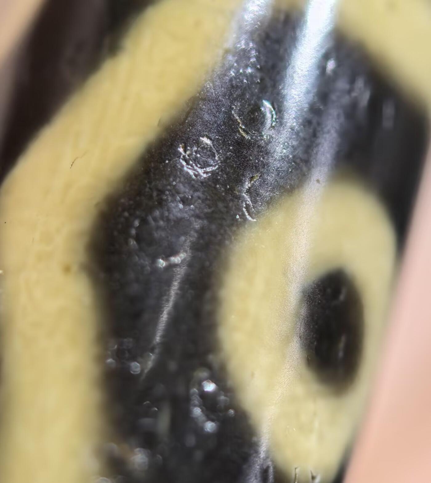 三眼财神天珠项链锁骨链吊坠挂件男女款，胎脂温润，包浆浑厚。
尺寸:4.8*1.3cm
​