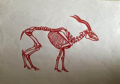 其他的艺术作品