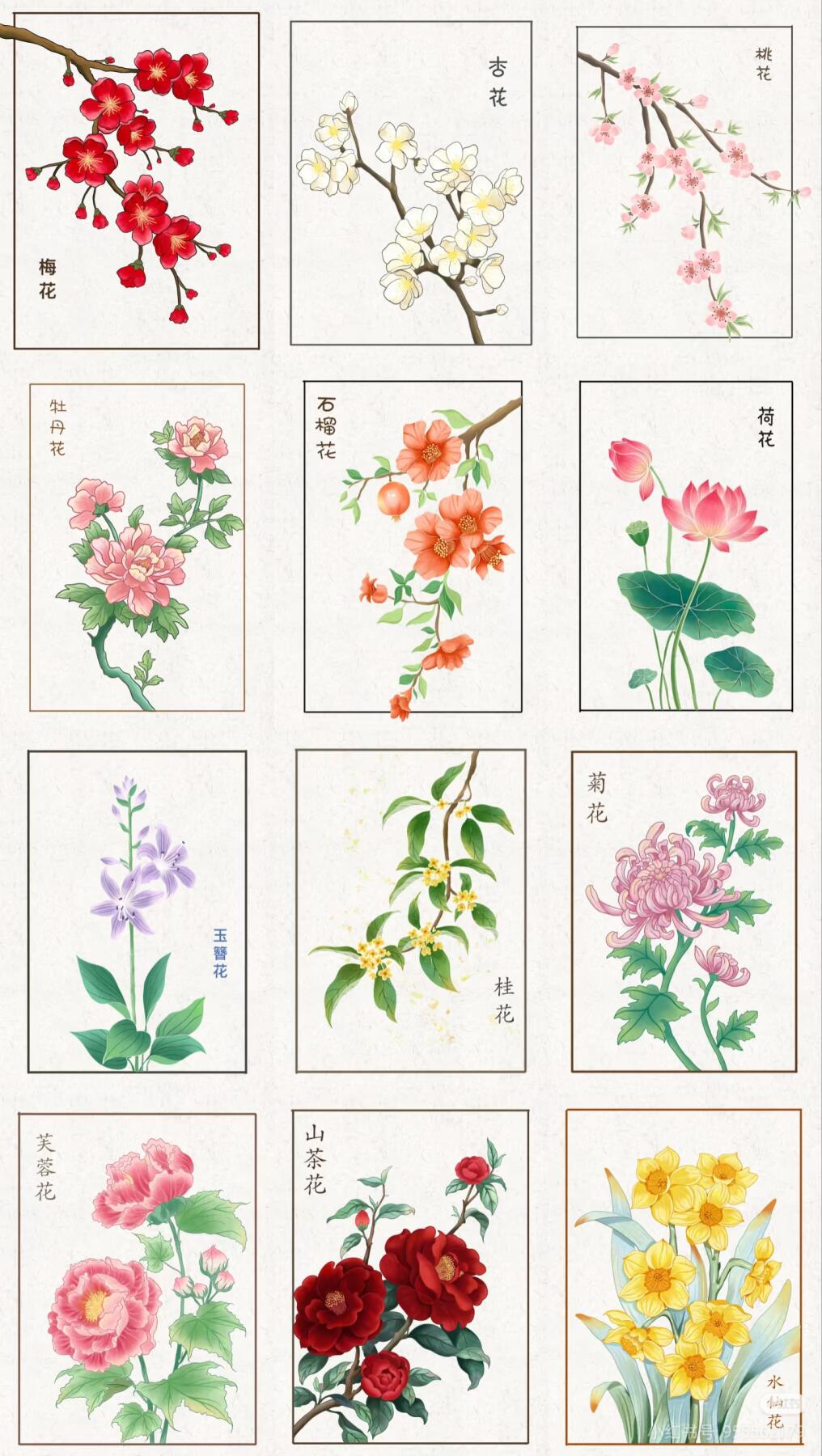 十二个月的月花