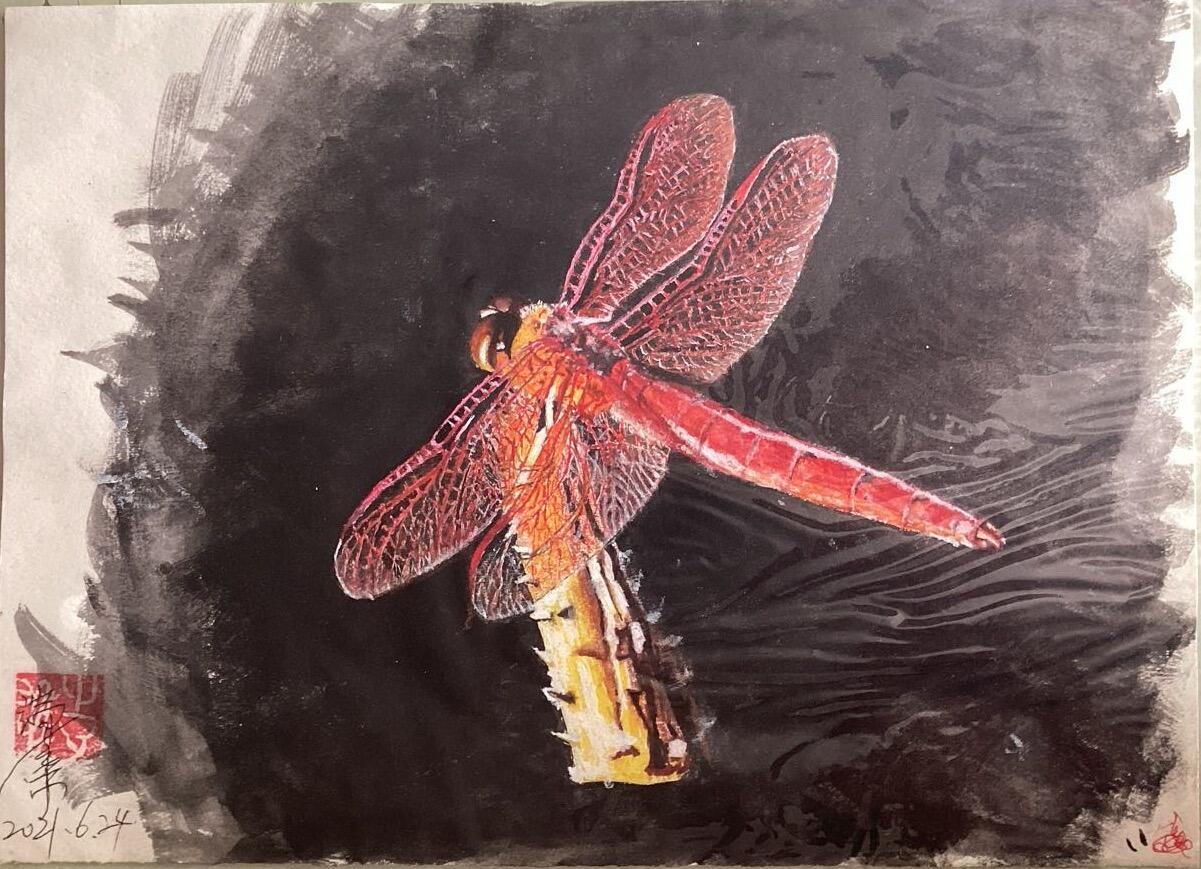 水彩笔画的作品