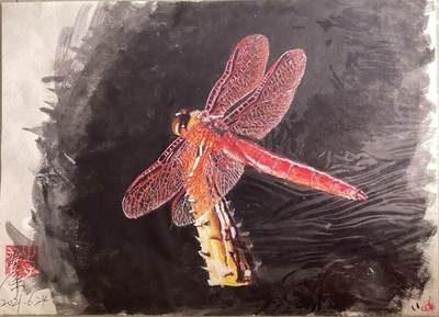 水彩笔画的作品