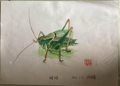 水彩笔画的作品