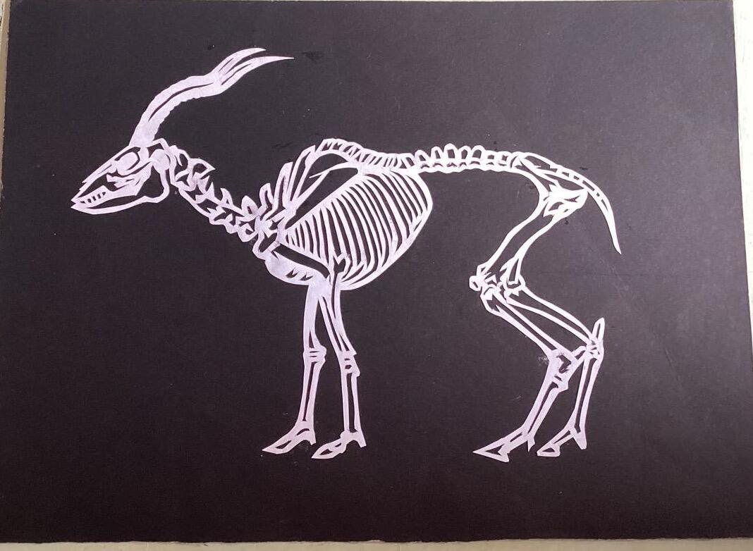 其他的艺术作品