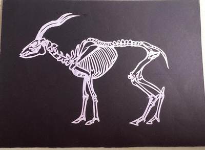 其他的艺术作品