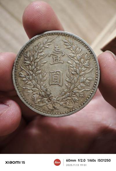 九年中发版袁大头银元