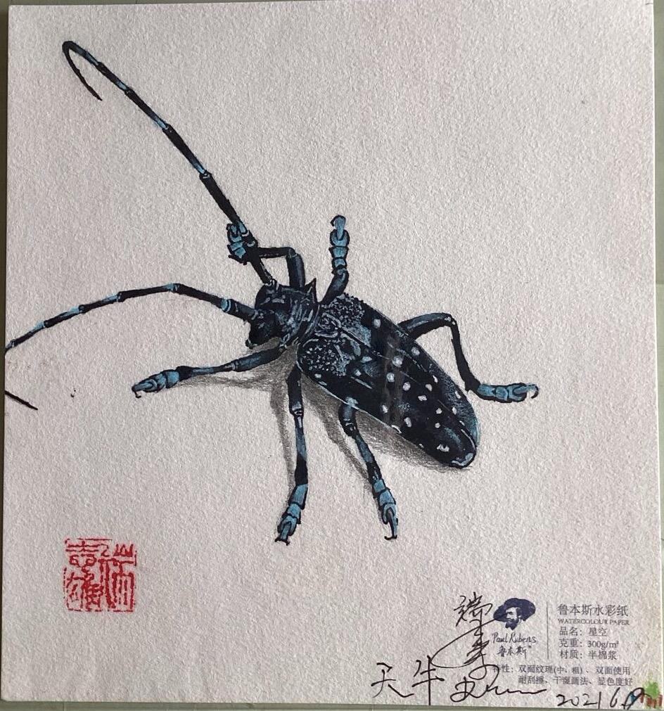 水彩笔画的作品