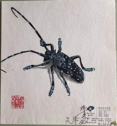 水彩笔画的作品