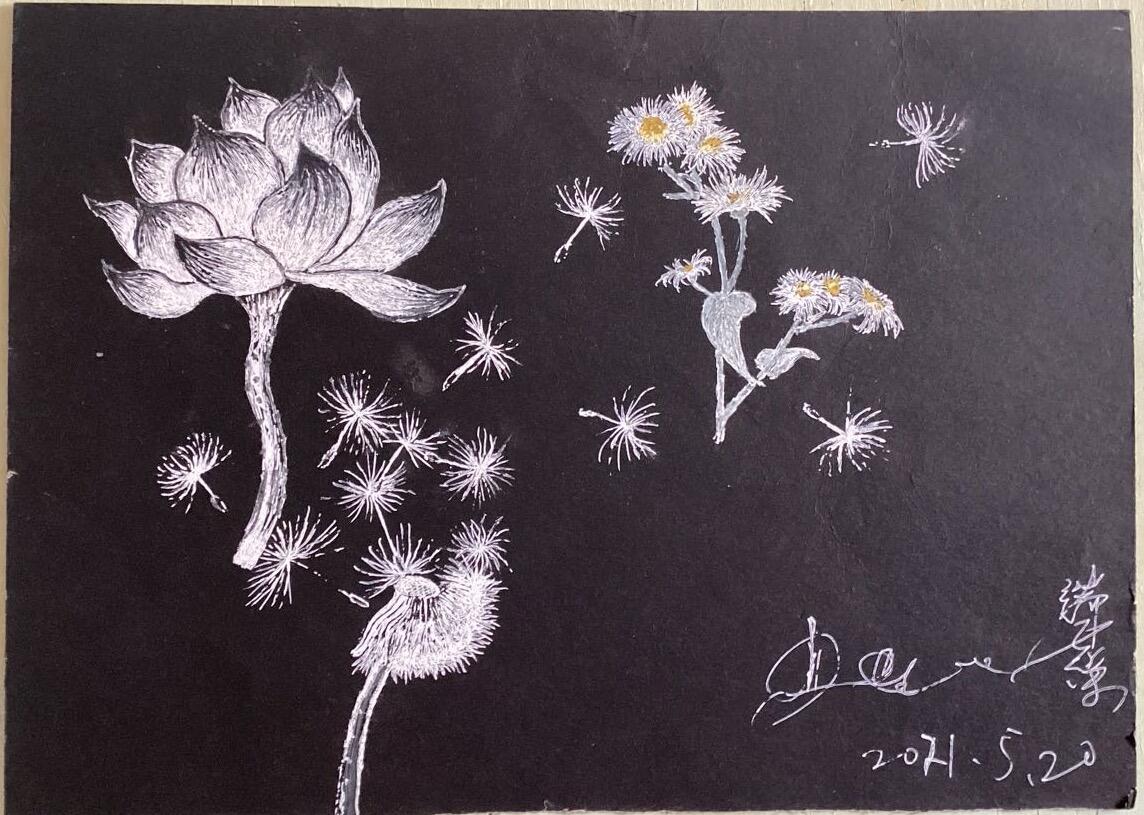 其他的艺术作品