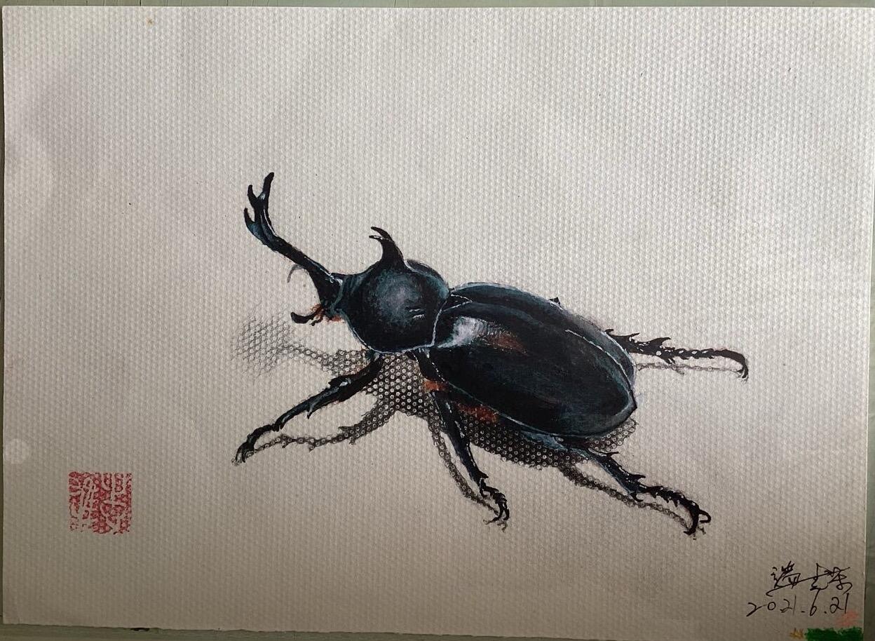 水彩笔画的作品