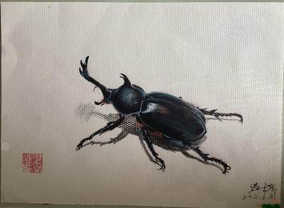 水彩笔画的作品