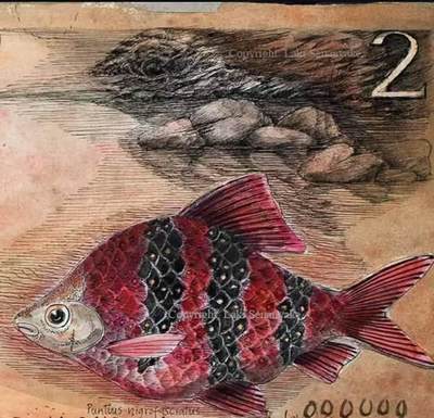 这是目前最喜欢的一套花鸟动物钞，1979年锡兰发行。全套共六张最近又收集到几张与实钞图案设计相关的图