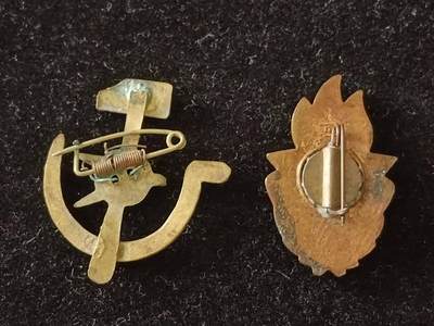 五十年代徽章纪念章