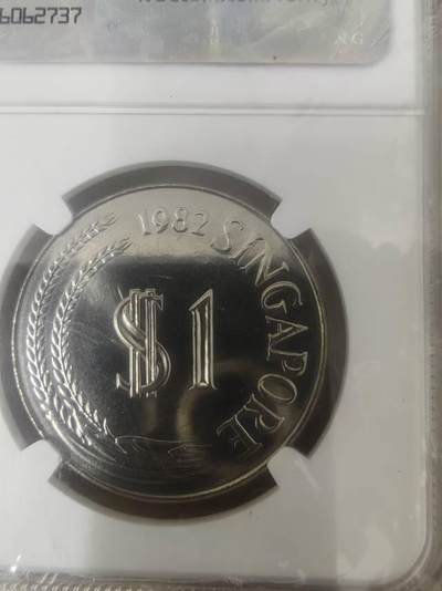 吸引眼球的新加皮狮子币