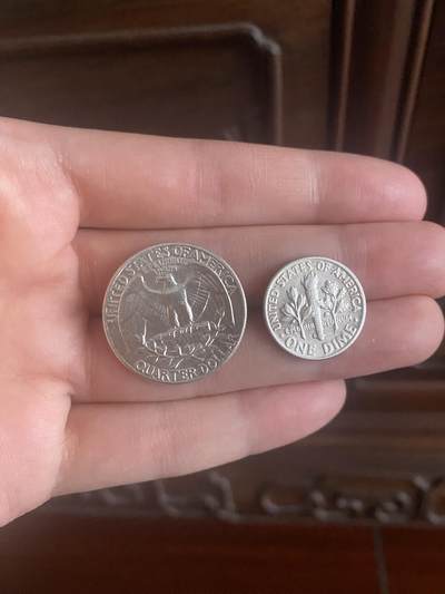 捡漏快乐🐈百元价格的可爱银币