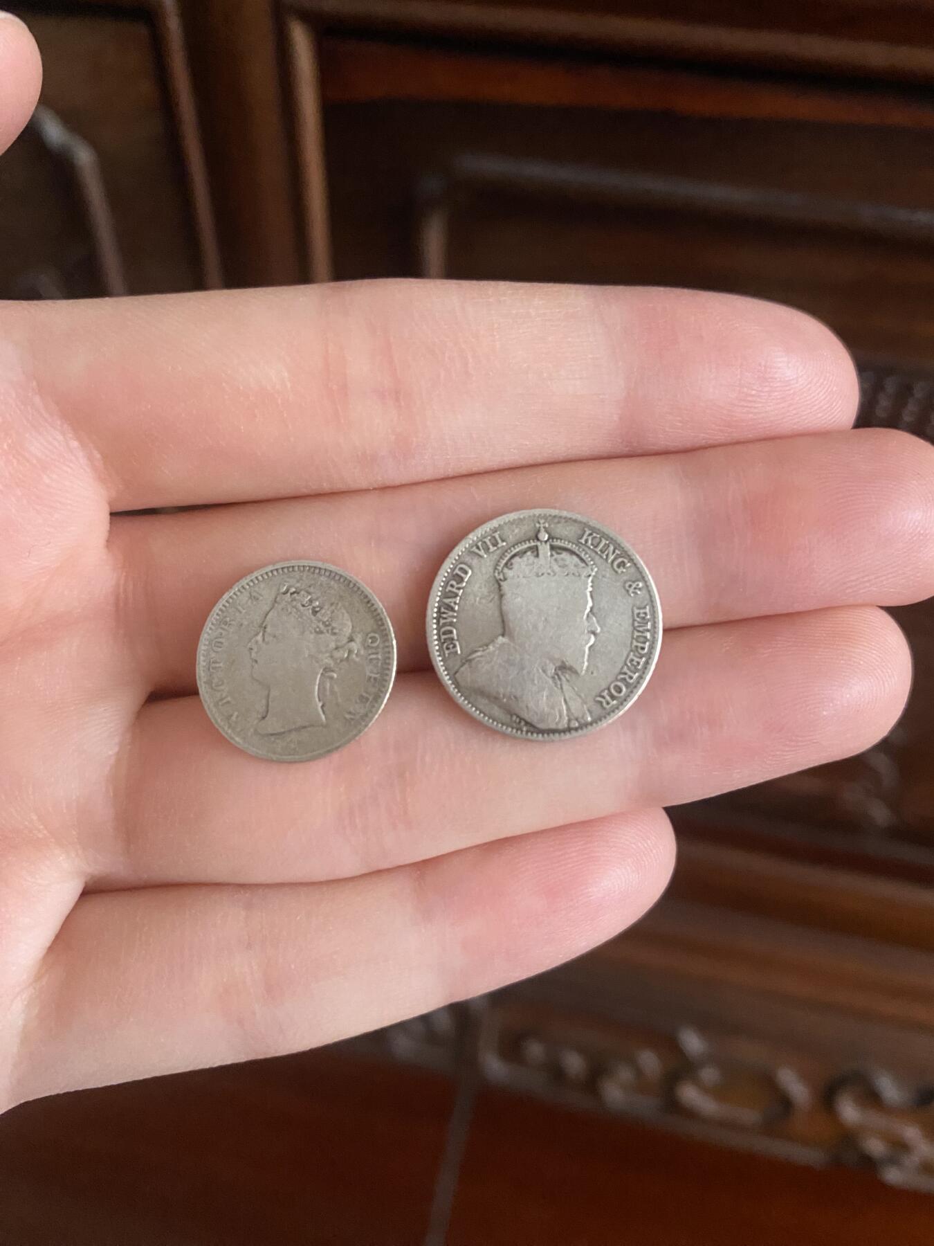 嘻嘻😜抓到一枚小海龟银币