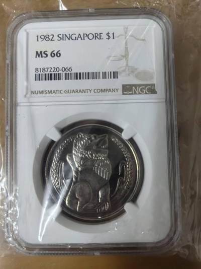 吸引眼球的新加皮狮子币