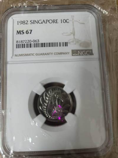 新加坡流通币之海马币