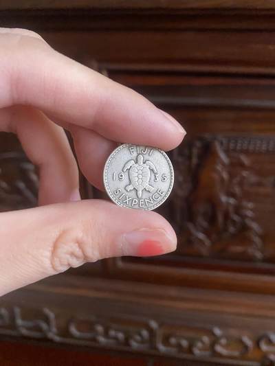 嘻嘻😜抓到一枚小海龟银币