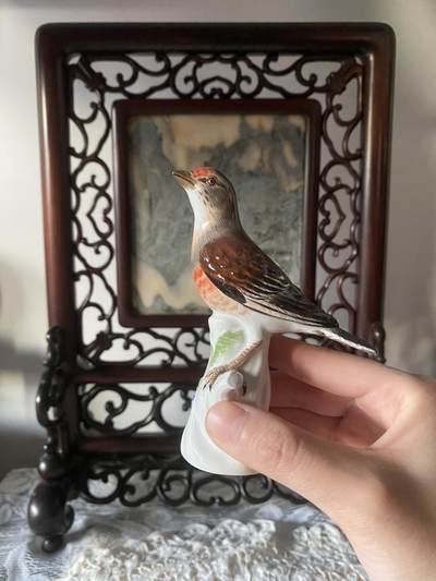 捡漏捡漏🥳这大概是全网蕞便宜的梅森瓷器了