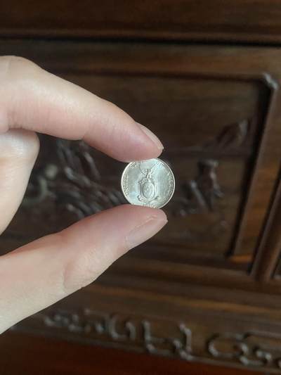 几枚小众冷门的亚洲银币💰