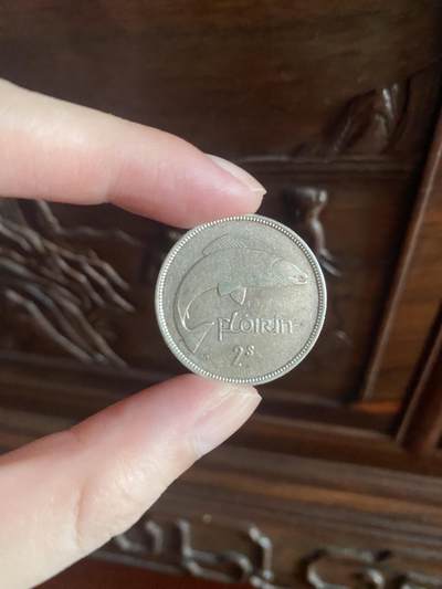 100多块能捡漏什么大银币🤔