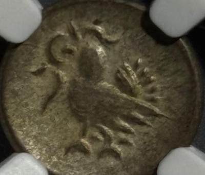 柬埔寨小鸟币🐦