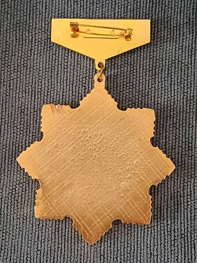 共和国建设者徽章纪念章