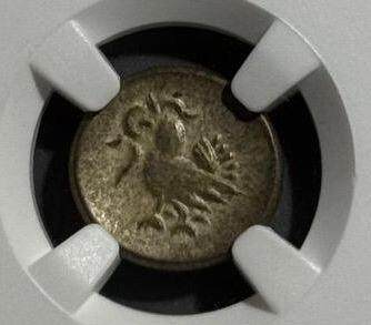 柬埔寨小鸟币🐦