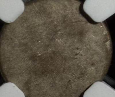 柬埔寨小鸟币🐦