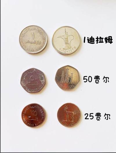 阿联酋的辅币系列