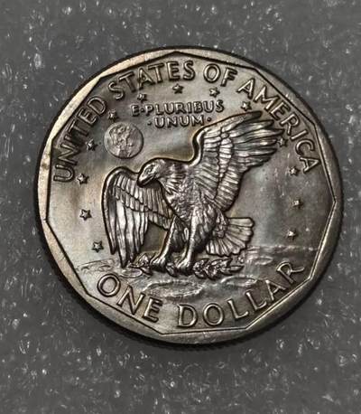 美国苏珊老版一美元