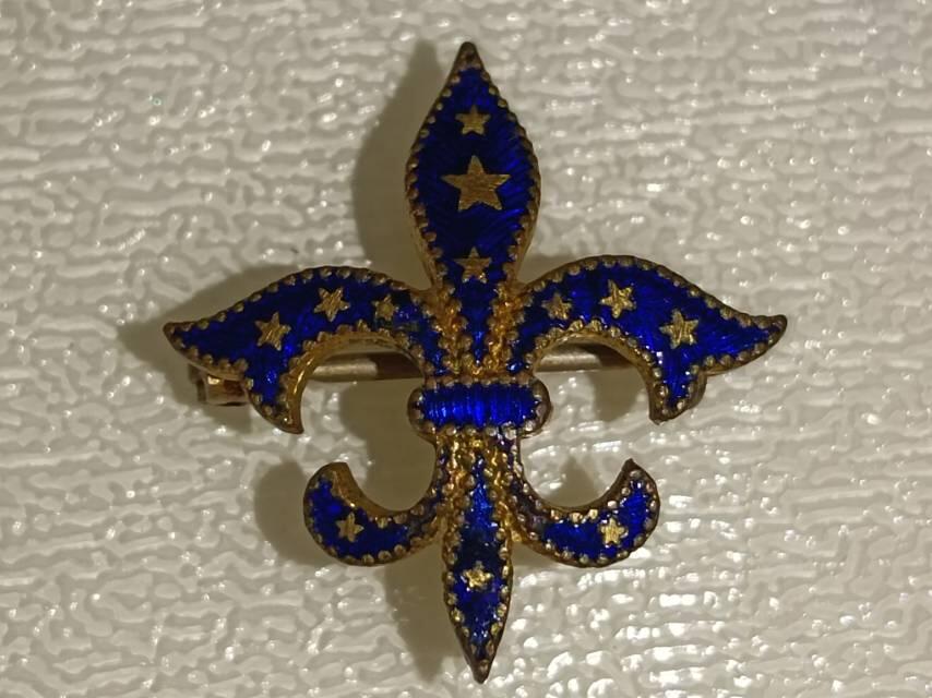 鸢尾花胸针