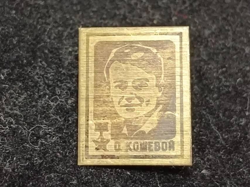 金星奖章获得者头像