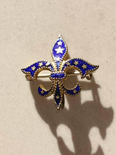 鸢尾花胸针