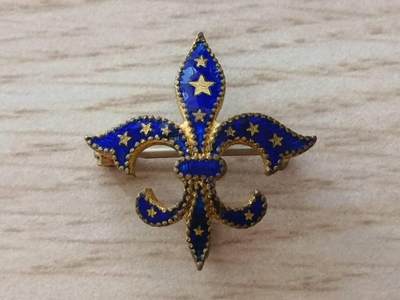 鸢尾花胸针