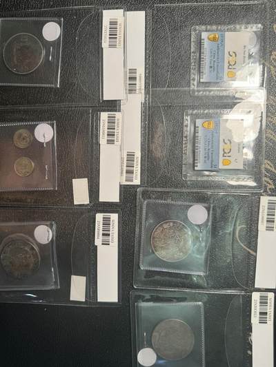 拍卖会7组银元全是假币