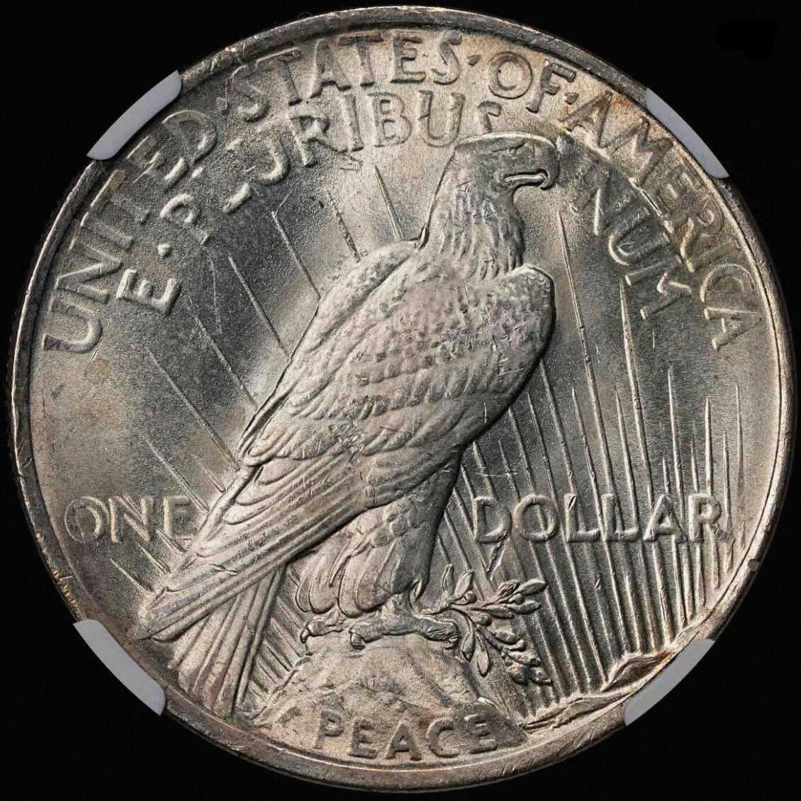 美国和平银币交流学习贴