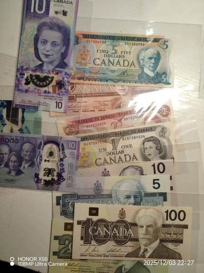 加拿大🇨🇦元收藏，一些一般的品种，但是胜在漂亮，主要是鸟版的，之后还想进军旅游版。。。。。。。。。。。。。。。。。。。。。。。。。。。。。。。。。。。。。。。。。。。。。。。。。😇😍😙🥰🥰