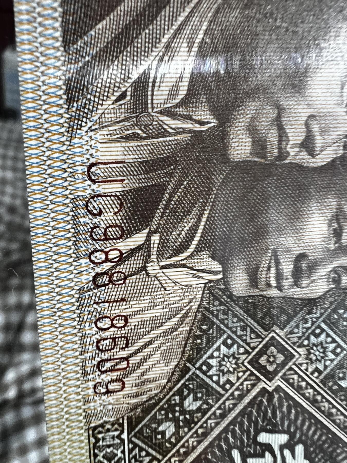 8001的背面两处漏印，特别稀少