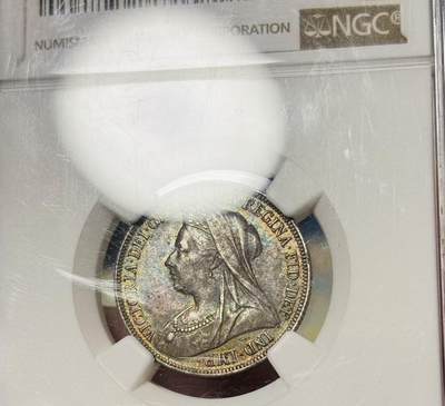 分不高，但是好玩