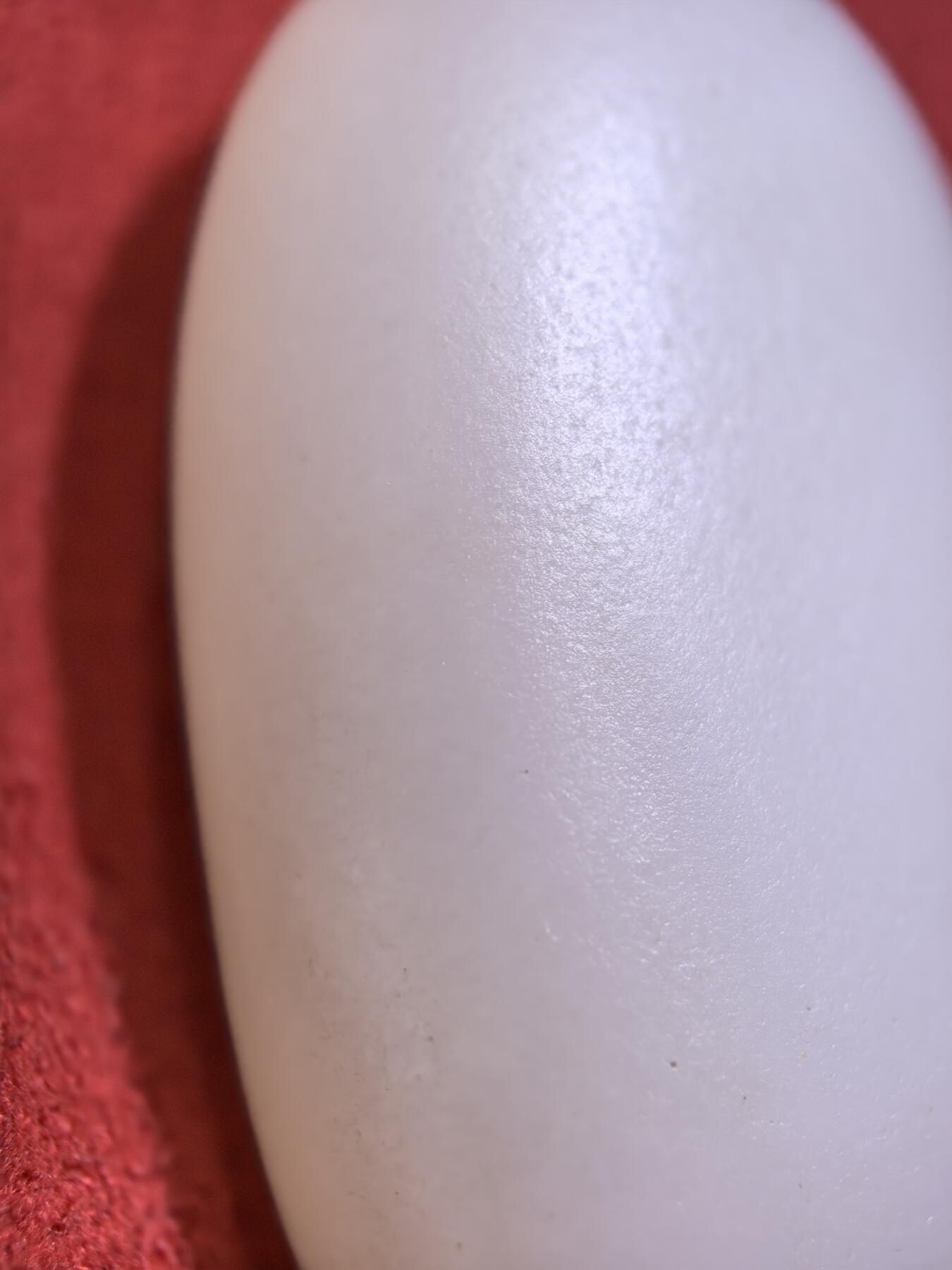 新疆和田羊脂白玉吊坠挂件男女款，玉质油润细腻脂粉十足，无修原籽原皮，料子通体表面可见天然毛孔。微结构。好玉不琢未打孔。可代镶嵌！尺寸:3.5cm*2.0cm*1.3cm. 克重:16.8g