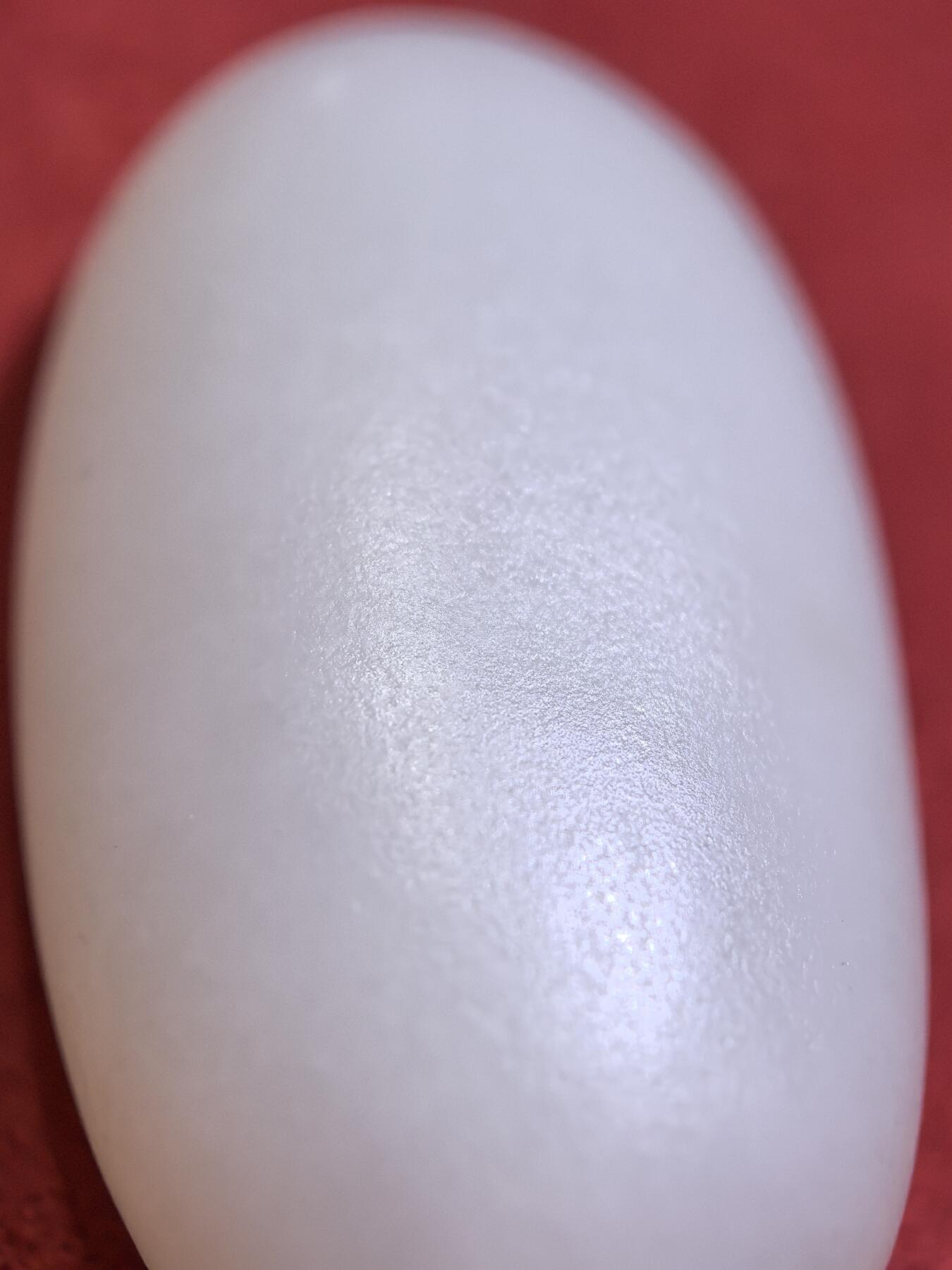 新疆和田羊脂白玉吊坠挂件男女款，玉质油润细腻脂粉十足，无修原籽原皮，料子通体表面可见天然毛孔。微结构。好玉不琢未打孔。可代镶嵌！尺寸:3.5cm*2.0cm*1.3cm. 克重:16.8g