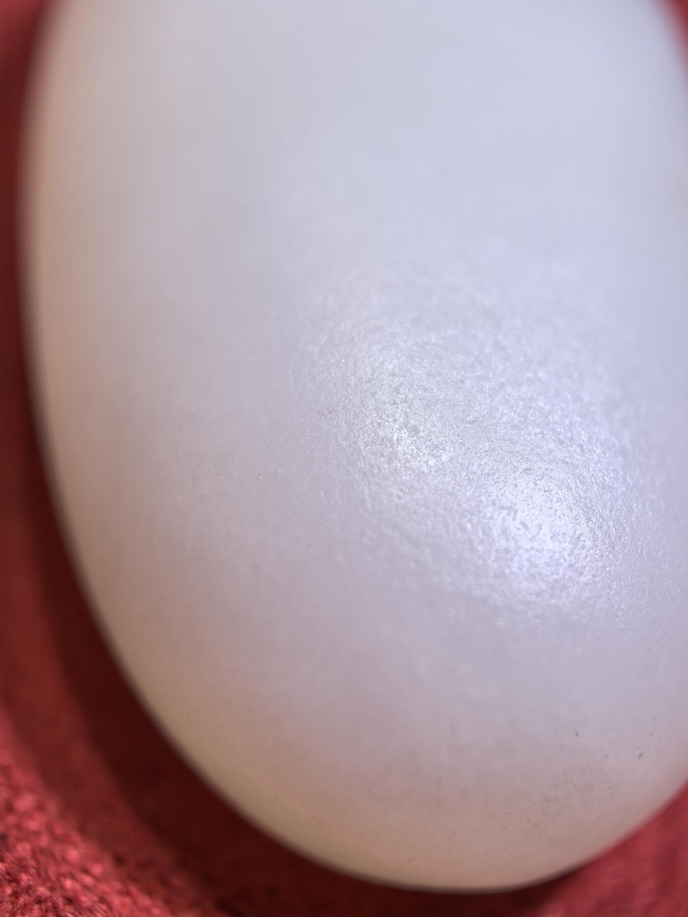 新疆和田羊脂白玉吊坠挂件男女款，玉质油润细腻脂粉十足，无修原籽原皮，料子通体表面可见天然毛孔。微结构。好玉不琢未打孔。可代镶嵌！尺寸:3.5cm*2.0cm*1.3cm. 克重:16.8g