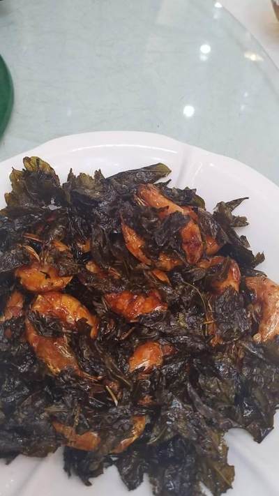 又是一个下雨天适合我去看又是一个下雨天适合我去看