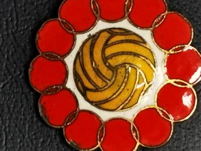  1963年9月，社会主义国家友军篮球锦标赛在北京举办