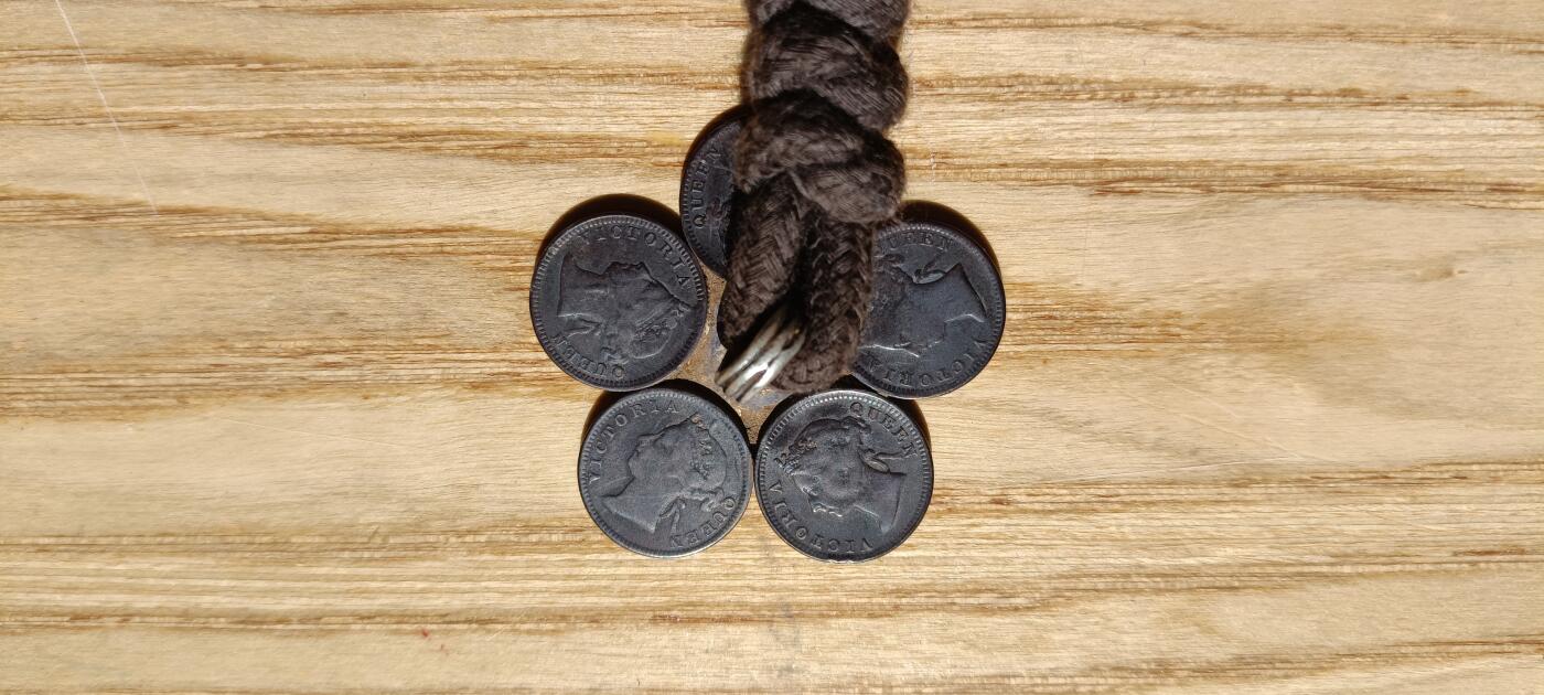 大大的梅花扣子