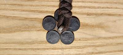 大大的梅花扣子