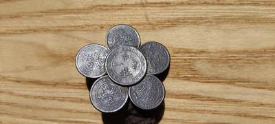 大大的梅花扣子