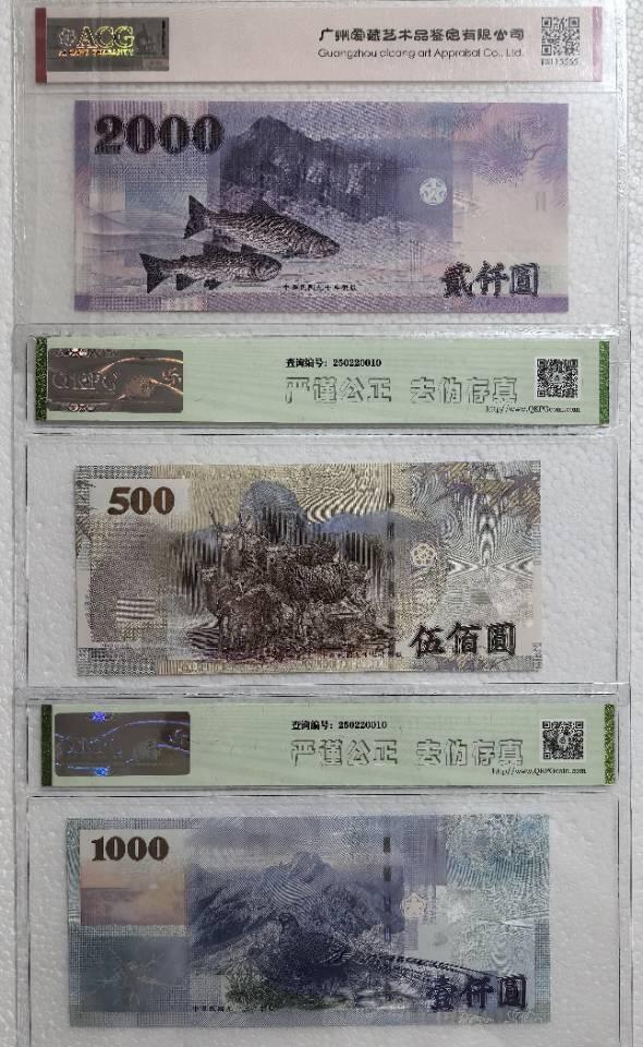 横五版新台币纸币